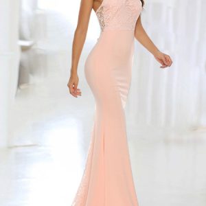 Sleeveless Stand Collar Buttons Backless Lace Long Maxi Dress